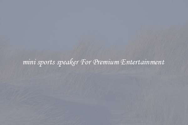 mini sports speaker For Premium Entertainment 