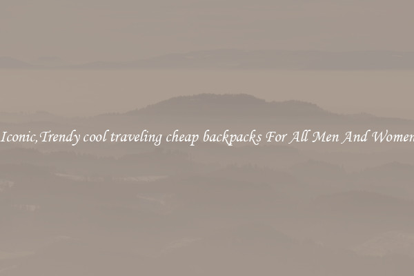Iconic,Trendy cool traveling cheap backpacks For All Men And Women