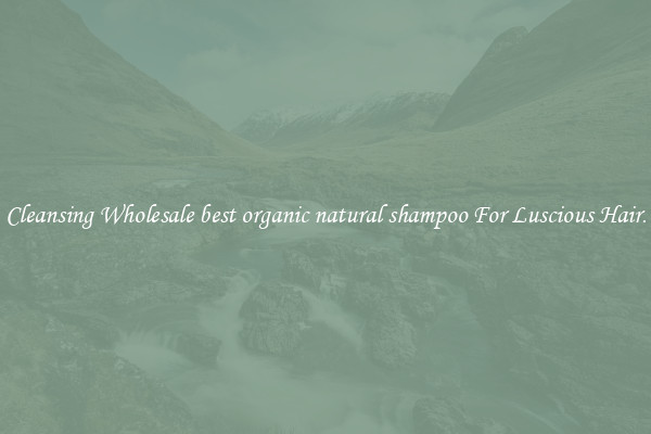 Cleansing Wholesale best organic natural shampoo For Luscious Hair.