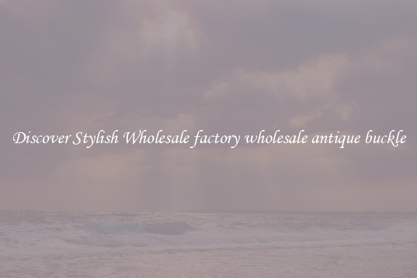 Discover Stylish Wholesale factory wholesale antique buckle