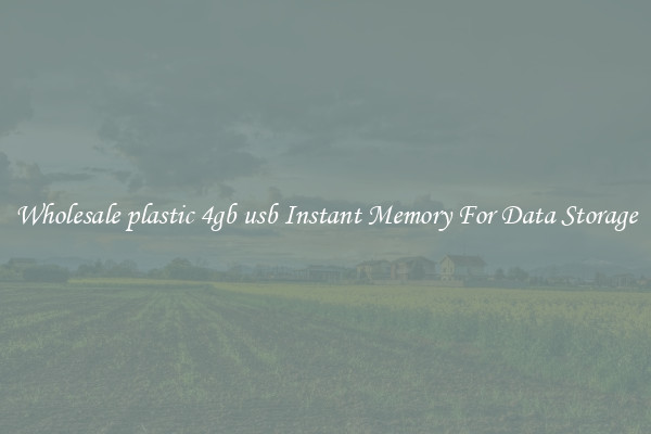 Wholesale plastic 4gb usb Instant Memory For Data Storage