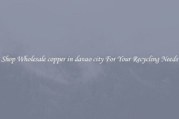 Shop Wholesale copper in davao city For Your Recycling Needs