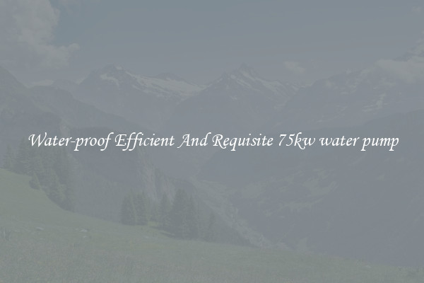 Water-proof Efficient And Requisite 75kw water pump