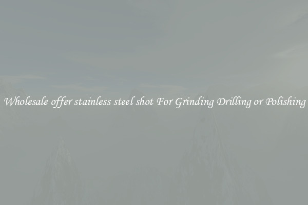 Wholesale offer stainless steel shot For Grinding Drilling or Polishing
