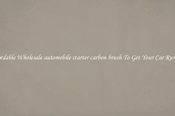 Affordable Wholesale automobile starter carbon brush To Get Your Car Running