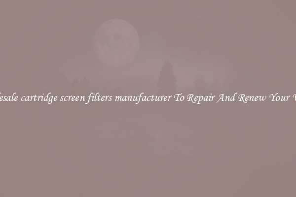 Wholesale cartridge screen filters manufacturer To Repair And Renew Your Vehicle