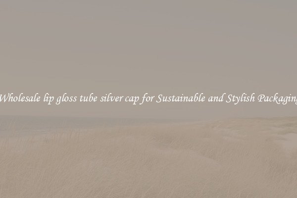 Wholesale lip gloss tube silver cap for Sustainable and Stylish Packaging