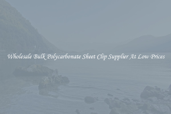 Wholesale Bulk Polycarbonate Sheet Clip Supplier At Low Prices