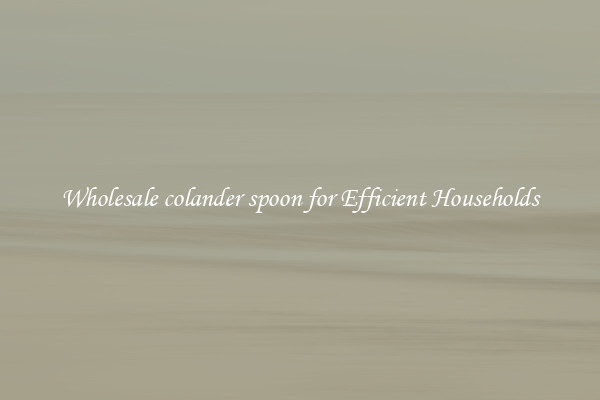 Wholesale colander spoon for Efficient Households