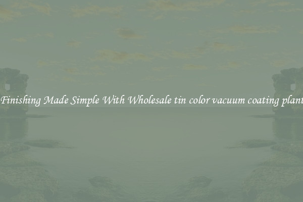 Finishing Made Simple With Wholesale tin color vacuum coating plant