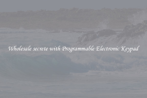 Wholesale secrete with Programmable Electronic Keypad 
