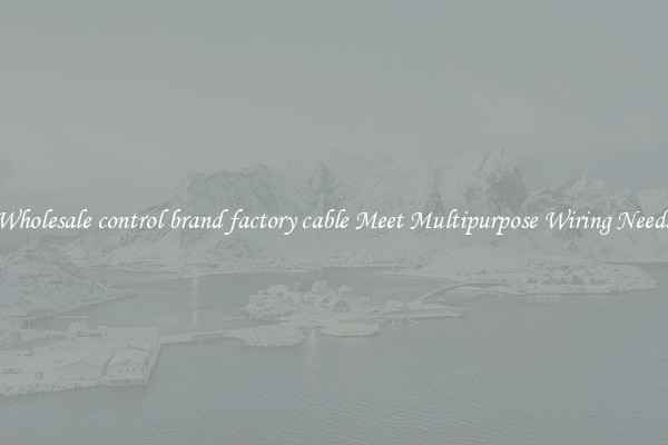 Wholesale control brand factory cable Meet Multipurpose Wiring Needs