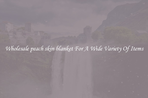 Wholesale peach skin blanket For A Wide Variety Of Items