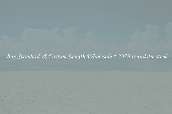Buy Standard & Custom Length Wholesale 1.2379 round die steel