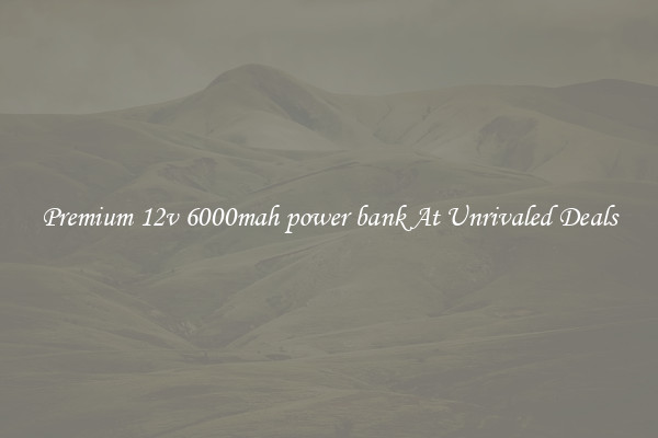 Premium 12v 6000mah power bank At Unrivaled Deals