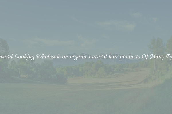 Natural Looking Wholesale on organic natural hair products Of Many Types