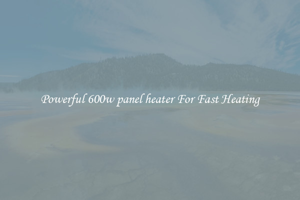 Powerful 600w panel heater For Fast Heating