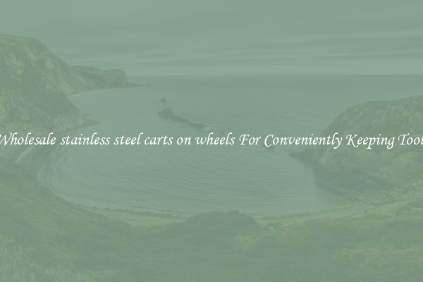 Wholesale stainless steel carts on wheels For Conveniently Keeping Tools