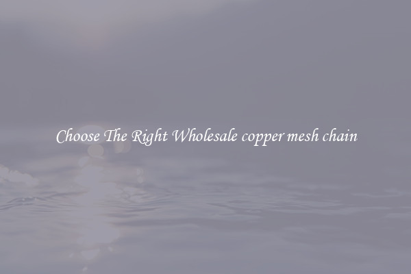 Choose The Right Wholesale copper mesh chain